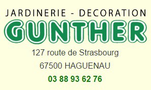 Jardinerie Gunthe, Jardinerie en France