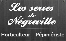 Les Serres de Nègreville, Jardinerie dans la Manche